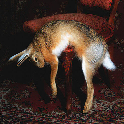 Wunschlos unglücklich